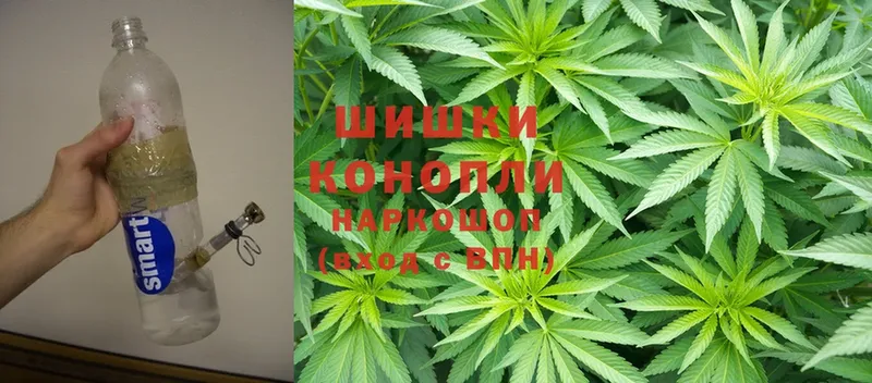 Конопля SATIVA & INDICA  kraken tor  Барнаул 